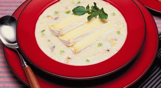 Foto krem   juha s gljivama i brie sirom