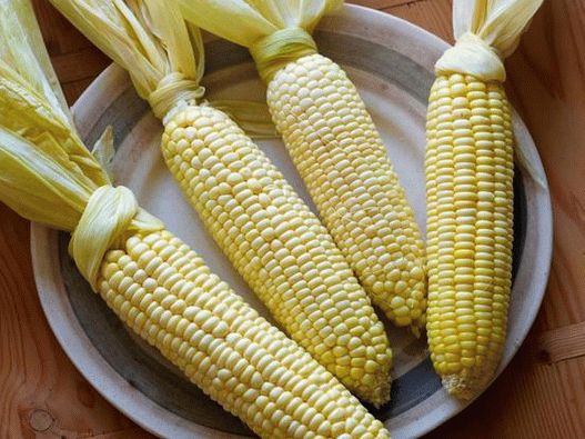 Fotografija kukuruza na kali u pećnici