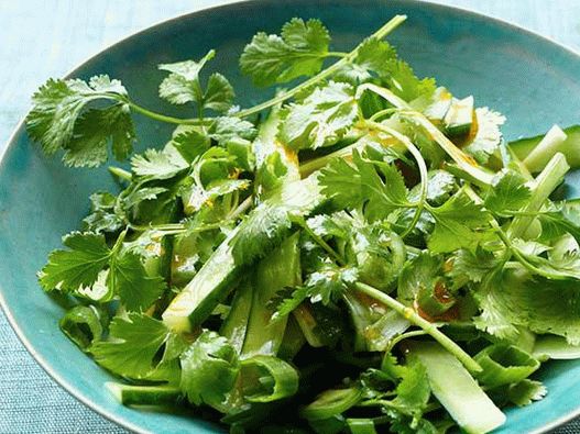 Foto začinjena salata od krastavca s cilantrom i zelenim lukom