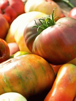 Fotografija - nasljedni paradajz