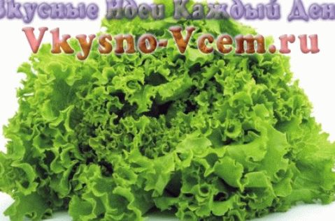 Zdrava svojstva romanske salate