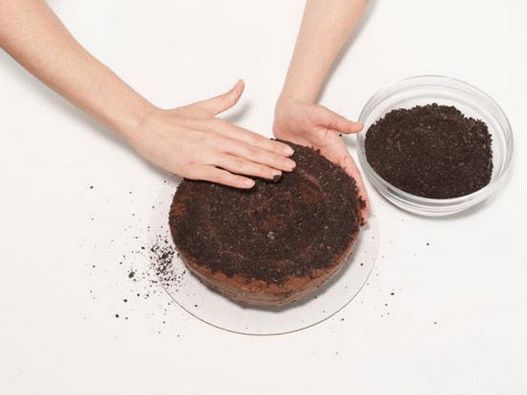 Pospite zdrobljenim kolačićima čokolade
